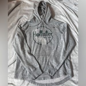 HOLLISTER Men’s green and gray Hollister hoodie, size small